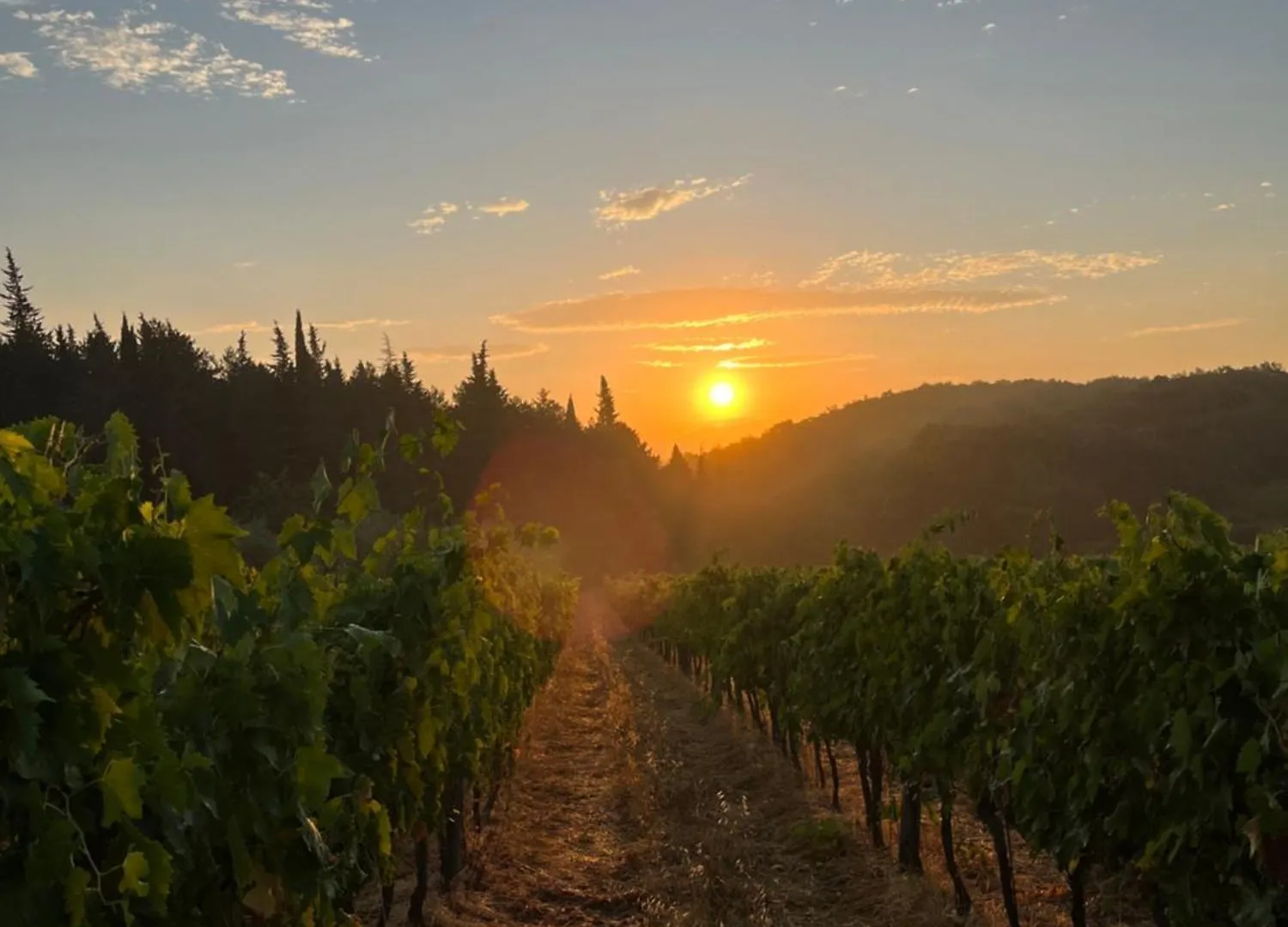 Il Villino Farmhouse Castellina in Chianti 0*,